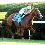 Carl Spackler - Coolmore Turf Mile - Coady Media