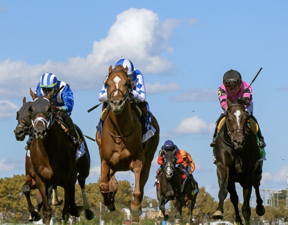 Carson's Run - Jockey Club Derby Invitational Stakes G3T - DRF Barbara Livingston