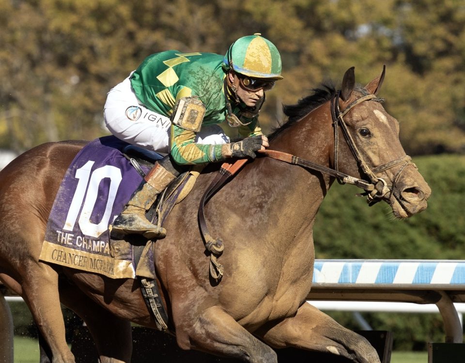 Chancer McPatrick - Champagne Stakes G1 - DRF Barbara Livingston