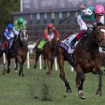 Enable - Breeders Cup Turf 2018 - DRF Barbara Livingston