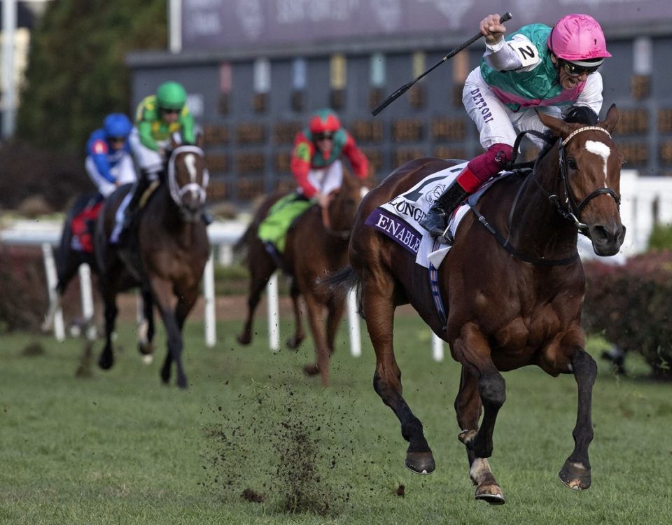 Enable - Breeders Cup Turf 2018 - DRF Barbara Livingston