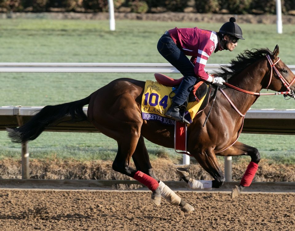 Forever Young - Del Mar - Barbara D. Livingston