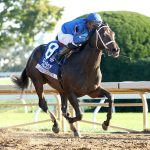 Immersive - Alcibiades Stakes G1 - Coady Media