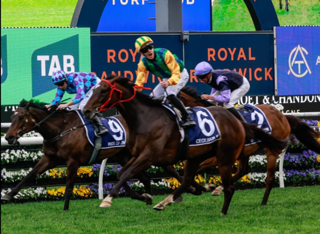 Ceolwulf (NZ) - King Charles III Stakes - Australian Racing Club/Royal Randwick