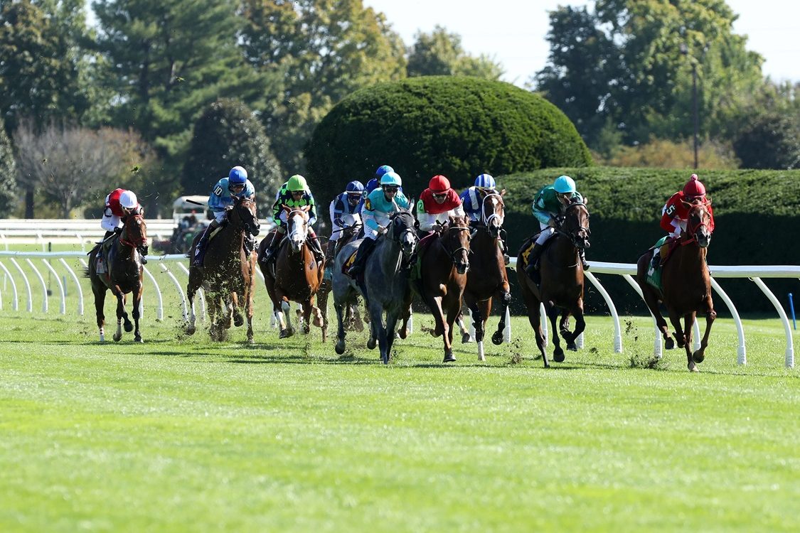 Keeneland Scenics - Coady Media