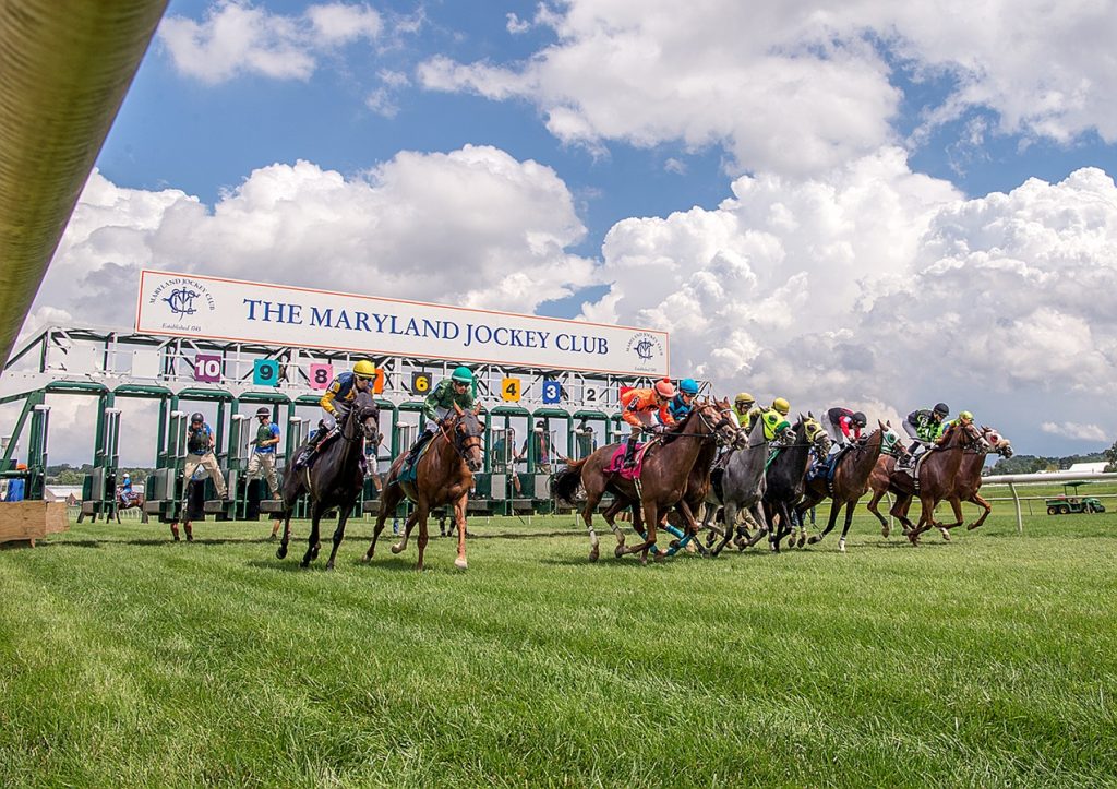 Laurel Park - Jim McCue