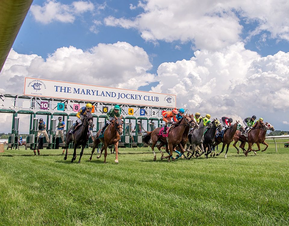 Laurel Park - Jim McCue