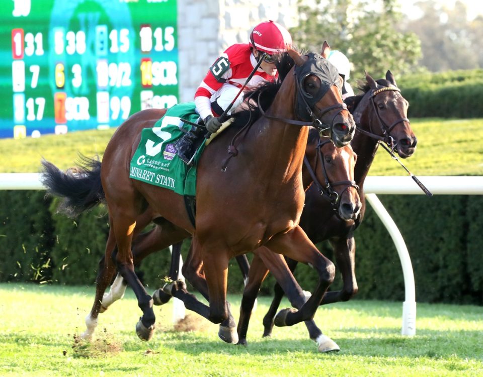 Minaret Station - Bourbon Stakes G2T - Coady Media