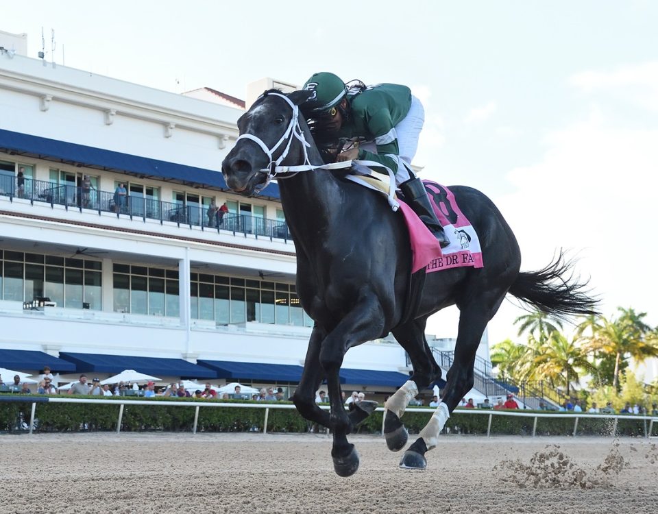 Rated by Merit - Dr Fager Stakes - Ryan Thompson/Coglianese Photos