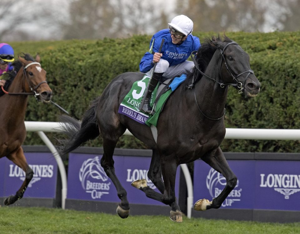 Rebel's Romance - Breeders' Cup Turf - Barbara D. Livingston