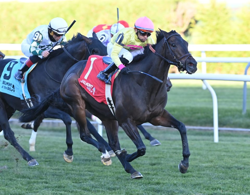 Spirit of St Louis - Mohawk S. - Coglianese Photo