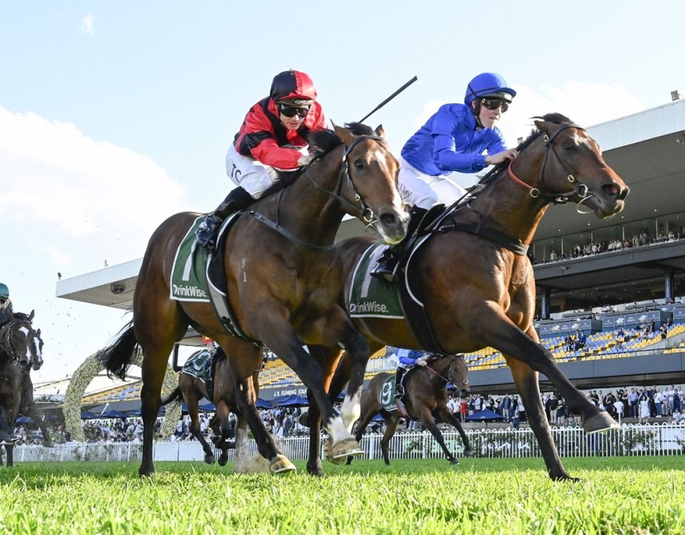 Traffic Warden - Sky Racing World