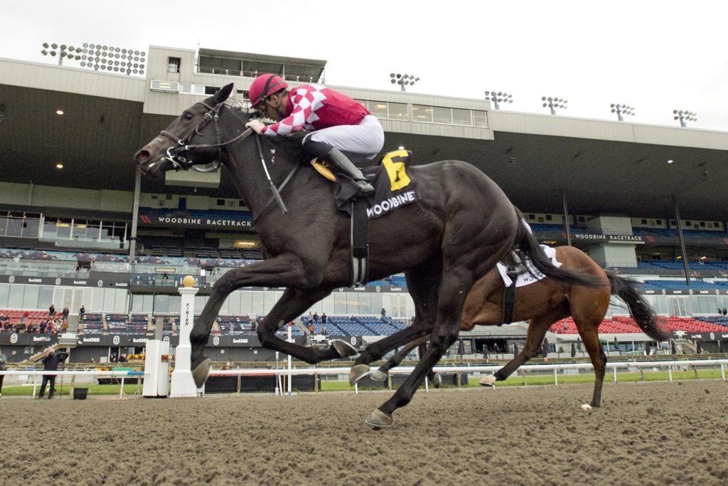 Winterberry - Glorious Song Stakes - Michael Burns