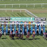 Aqueduct Turf Scenic - DRF Barbara Livingston