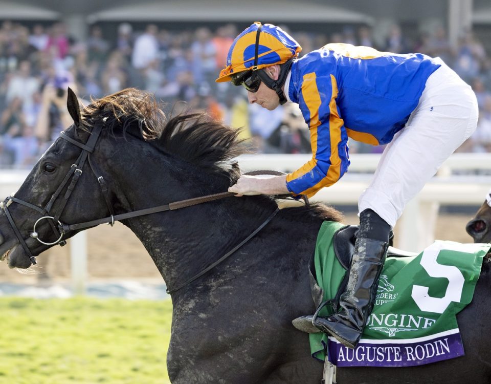 Auguste Rodin - Breeders´Cup Turf 2023 - DRF Debra A. Roma