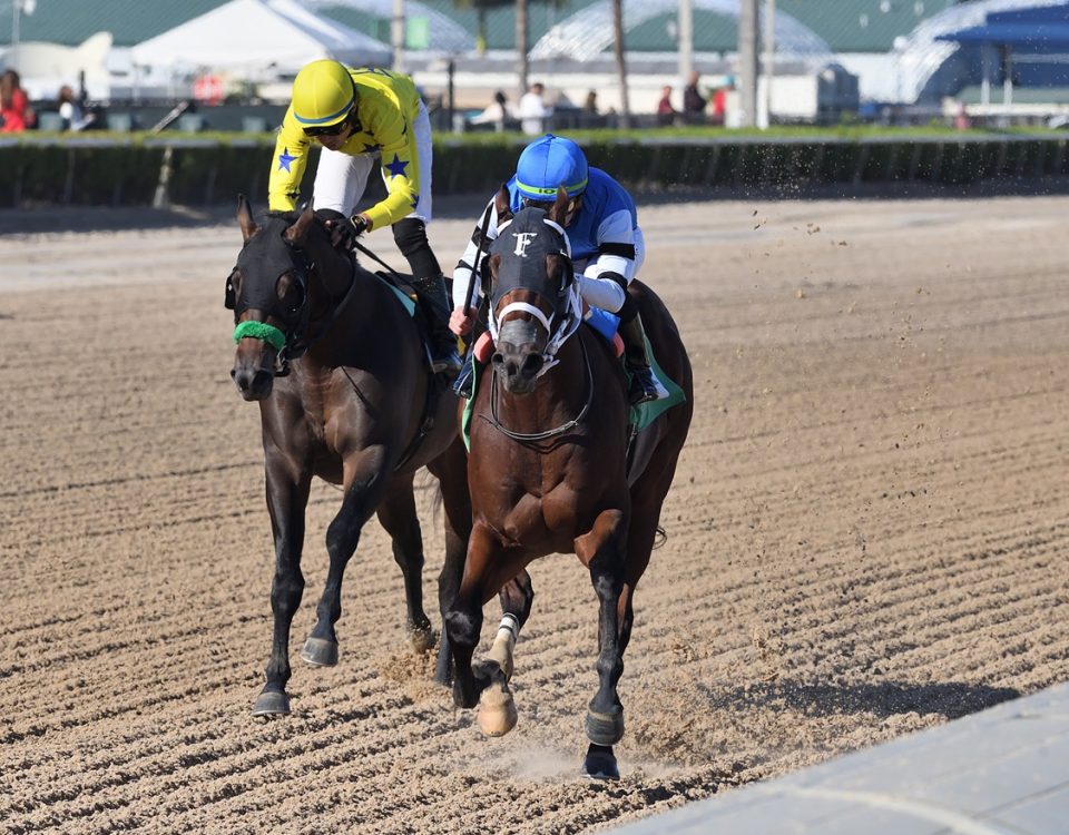 Big Paradise - Juvenile Sprint Stakes - Ryan Thompson/Coglianese Photo