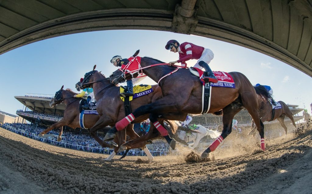 Breeders' Cup Classic Action - DRF Debra A. Roma