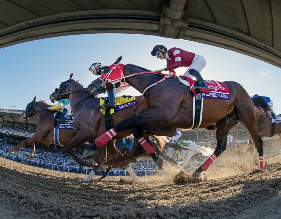 Breeders' Cup Classic Action - DRF Debra A. Roma