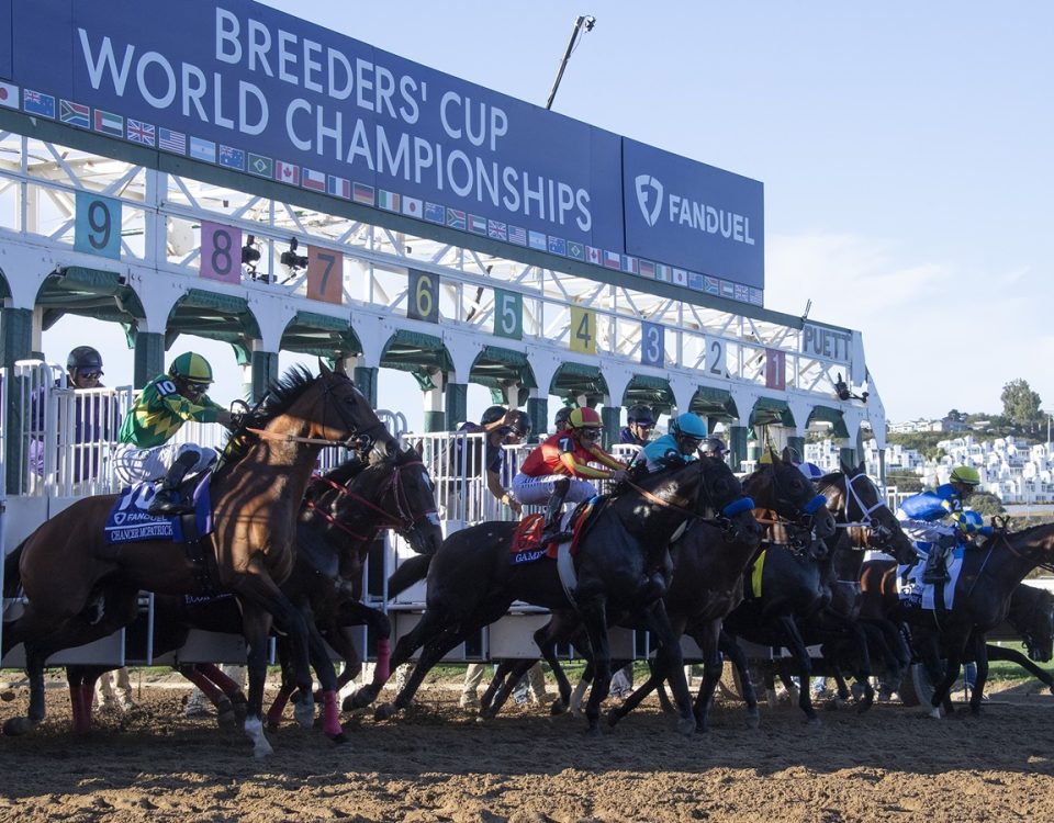 Breeders' Cup Juvenile Start - Susie Raisher