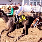 Caprice - Smart Halo Stakes -