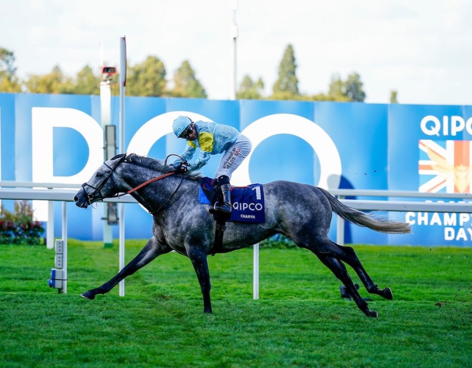 Charyn - Queen Elizabeth II Stakes - Megan Coggin - Ascot Media