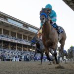 Citizen Bull - Breeders' Cup Juvenile G1 - DRF Barbara Livingston