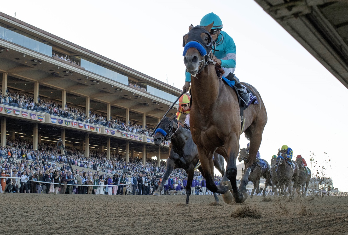 Resultados y puntuaciones así va el Camino al Kentucky Derby 151 DRF