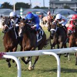 Civetta - Wait a While Stakes - Ryan Thompson/Coglianese Photo