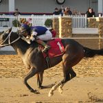 Copper Tax - Richard W. Small Stakes - Jeff Snyder/MJC