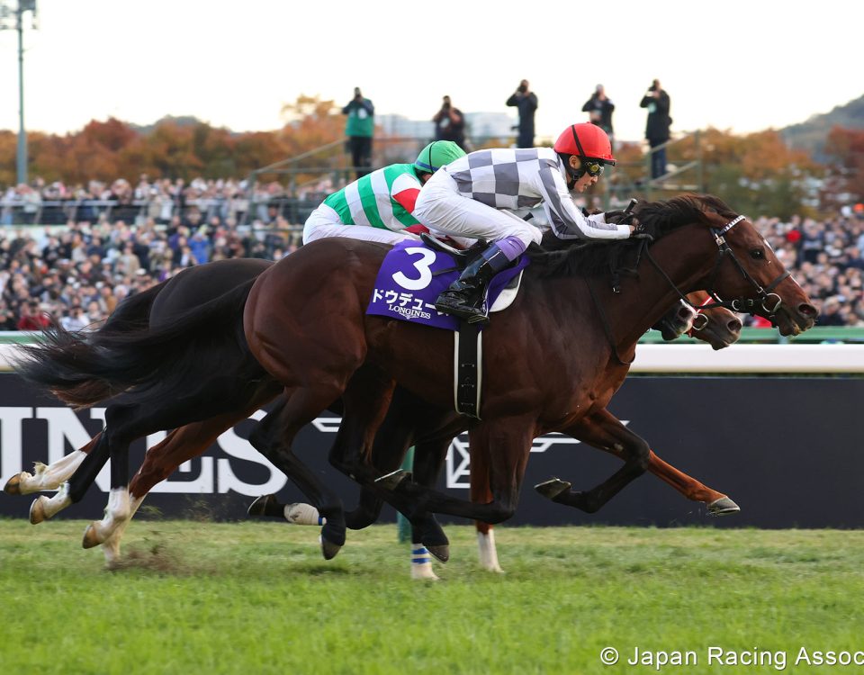 Do Deuce - Japan Cup G1 - photo credit Japan Racing Association