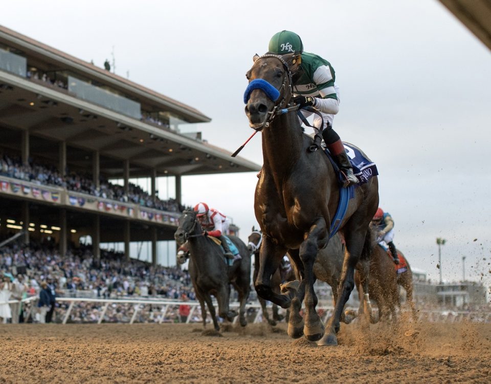 Full Serrano - Breeders' Cup Dirt Mile G1 - DRF Debra A Roma