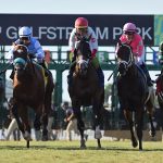 Gulfstream Park Turf scenic - Ryan Thompson/Coglianese Photos