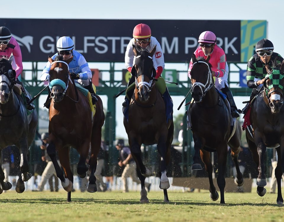 Gulfstream Park Turf scenic - Ryan Thompson/Coglianese Photos