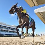 Gulfstream Park finish - Ryan Thompson/Coglianese Photo