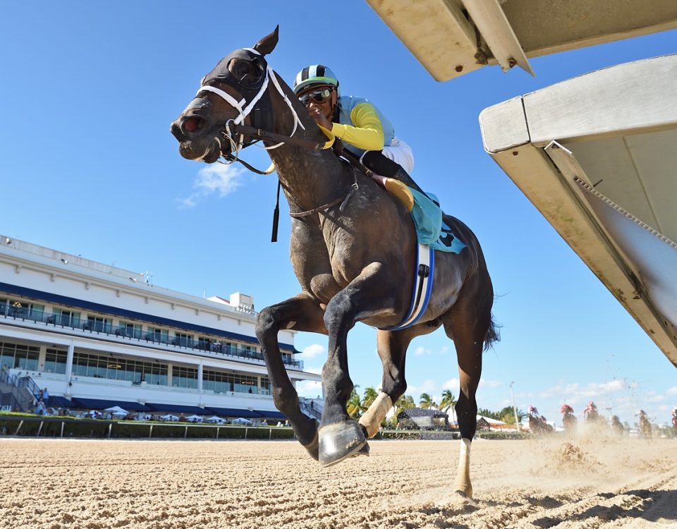 Gulfstream Park finish - Ryan Thompson/Coglianese Photo