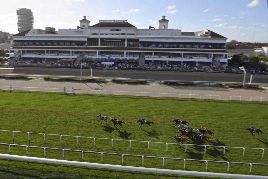 Gulfstream scenic - Ryan Thompson/Coglianese Photo