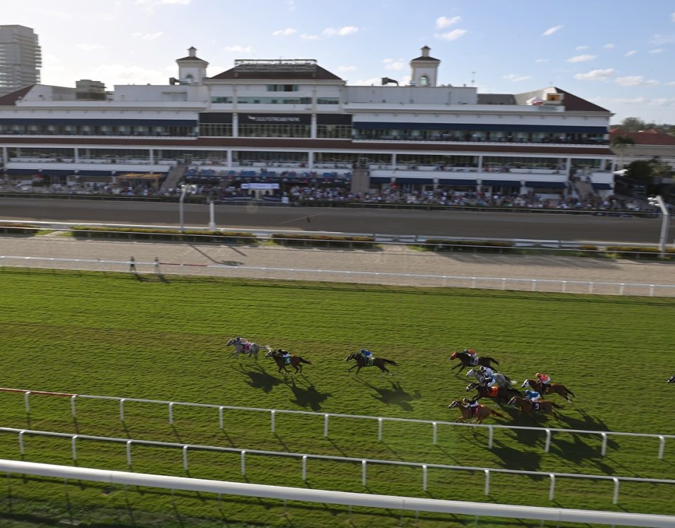 Gulfstream scenic - Ryan Thompson/Coglianese Photo