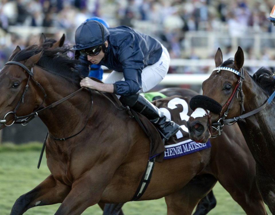 Henri Matisse - Breeders Cup Juvenile Turf - DRF Debra A. Roma