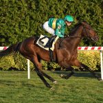 Integration - Red Smith Stakes G2T - Coglianese Photo