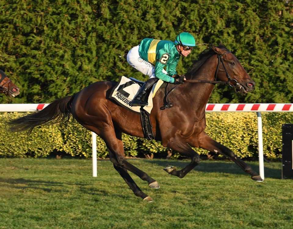 Integration - Red Smith Stakes G2T - Coglianese Photo