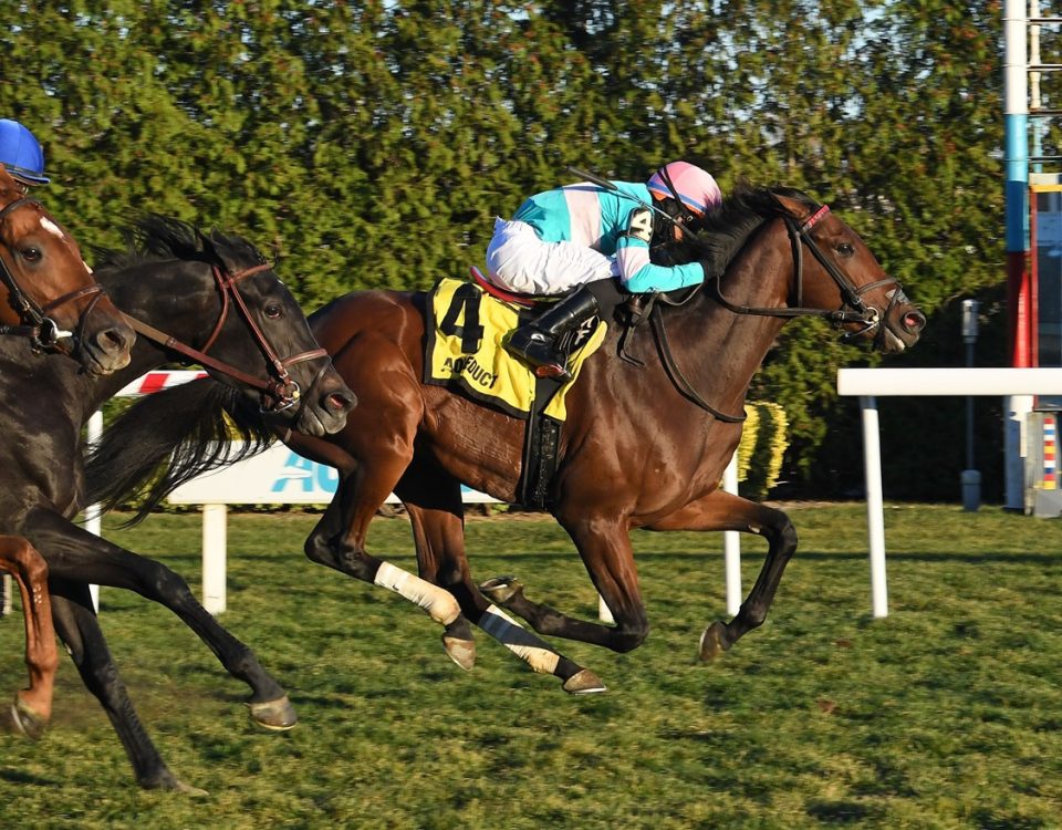 Jack and Jim - Central Park Stakes - Coglianese Photo