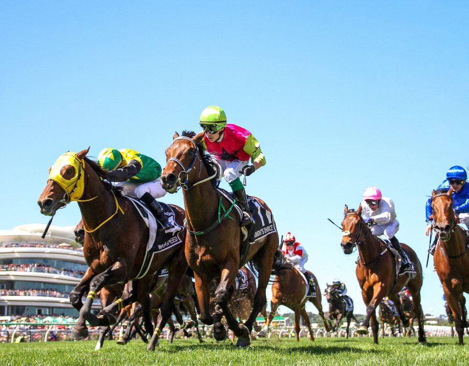 Knight’s Choice's Choice,Melbourne Cup,Group 1 Phot Flemington Racetrack