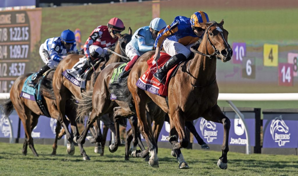 Lake Victoria - Breeders' Cup Juvenile Fillies Turf G1T - DRF Barbara Livingston