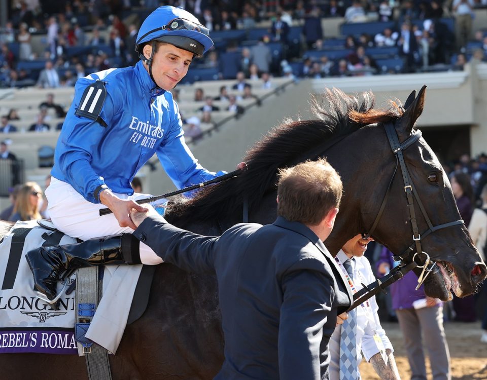 Rebel's Romance - Breeders' Cup Turf - Susie Raisher