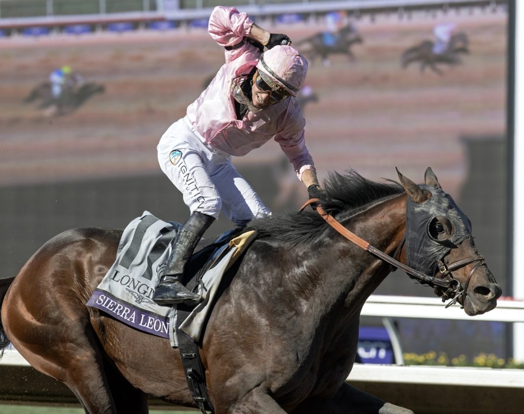 Sierra Leone - Breeders' Cup Classic - DRF Barbara Livingston