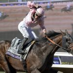 Sierra Leone - Breeders' Cup Classic - DRF Barbara Livingston