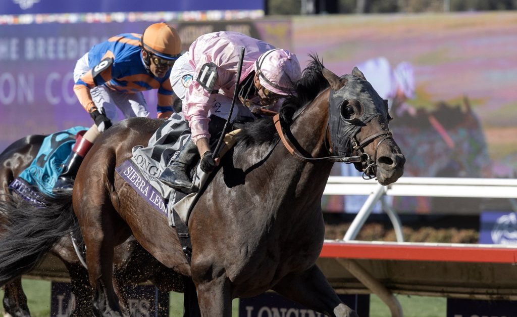 Sierra Leone - Breeders Cup Classic - DRF Barbara Livingston