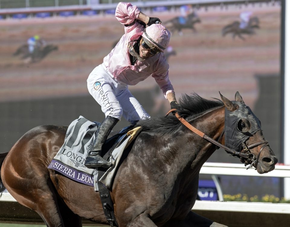 Sierra Leone - Breeders' Cup Classic - DRF Barbara Livingston