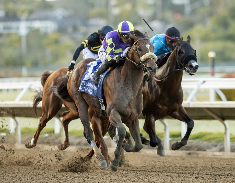 Skinner - Native Diver Stakes G3 - Benoit Photo