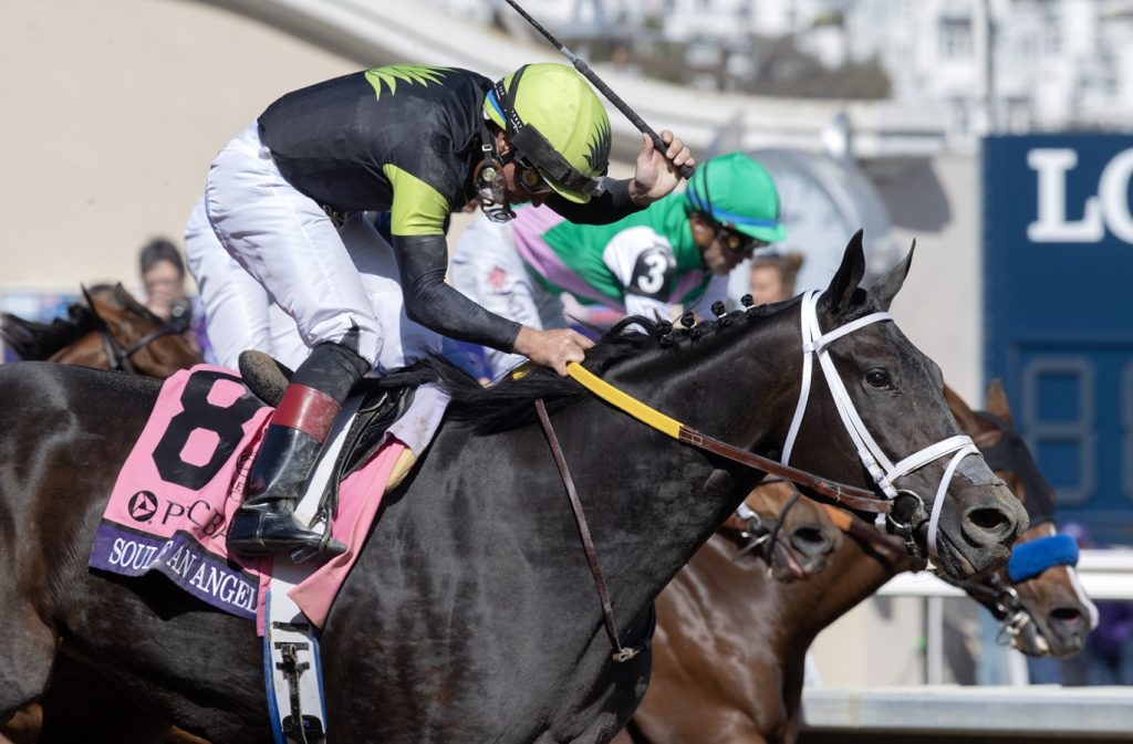 Soul of an Angel - Breeders Cup Filly and Mare Sprint - Barbara D. Livingston